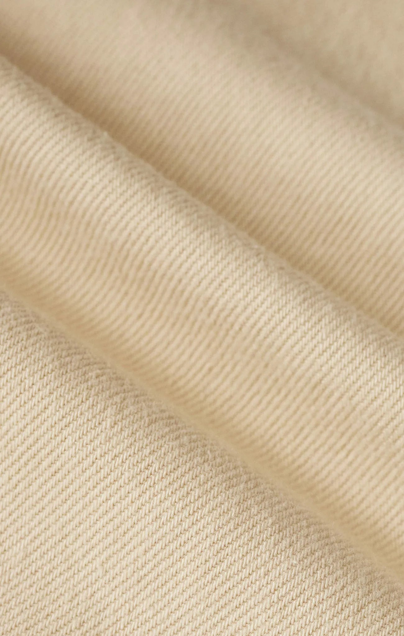 Parchment