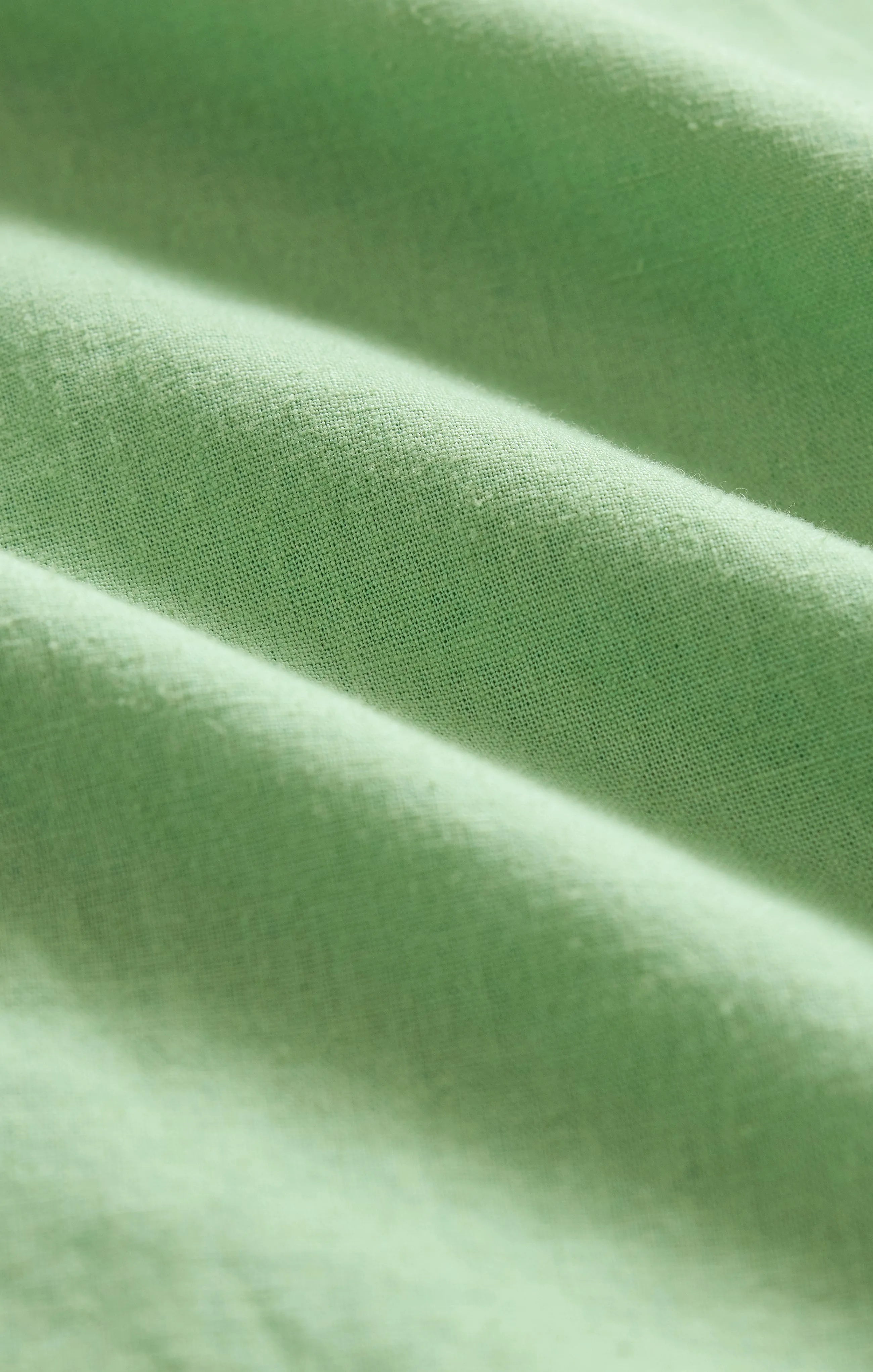 Pistachio