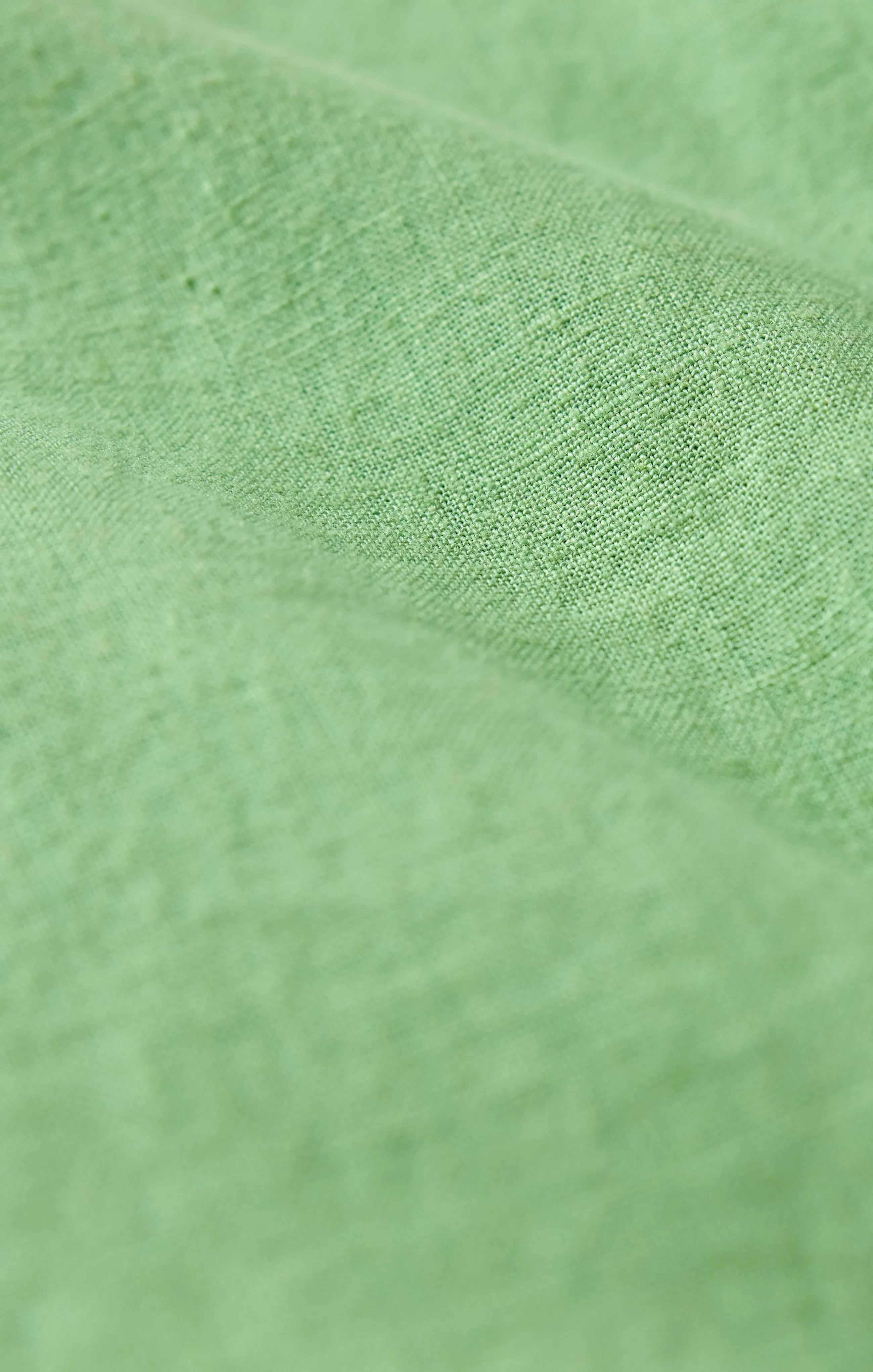 Pistachio