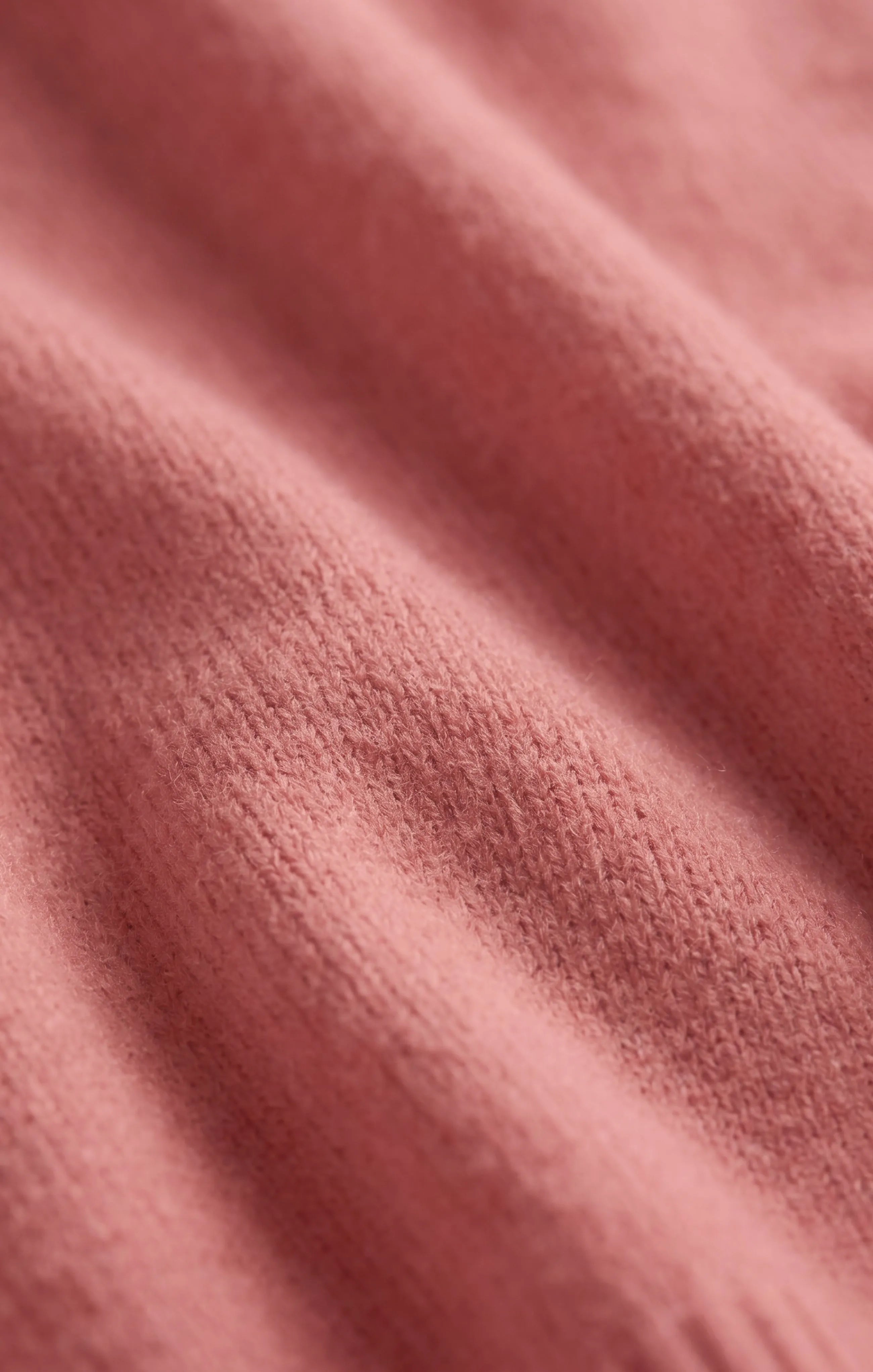 Desert Bloom