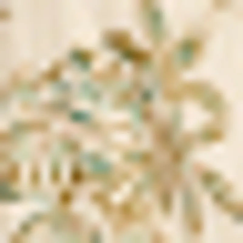 Island Coconut
