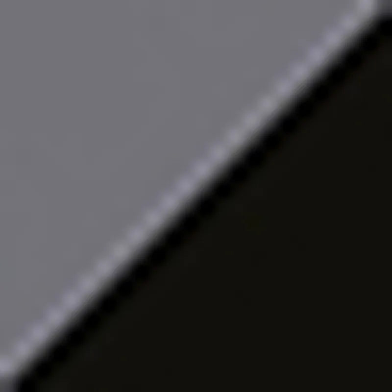 Polished Black - Grey